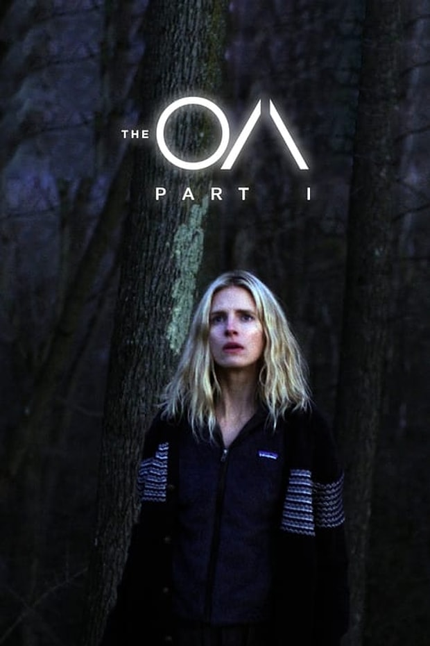 The OA Posteri