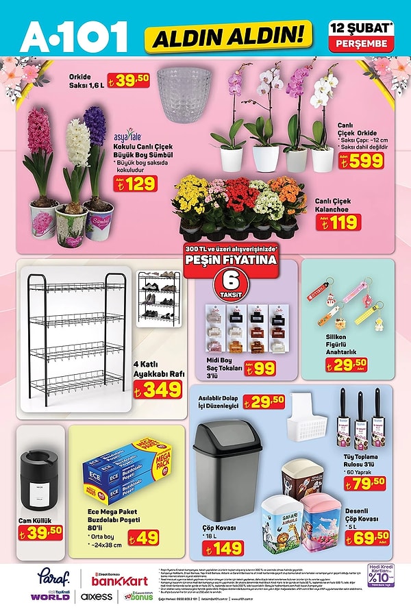 Canlı Çiçek Orkide 599 TL