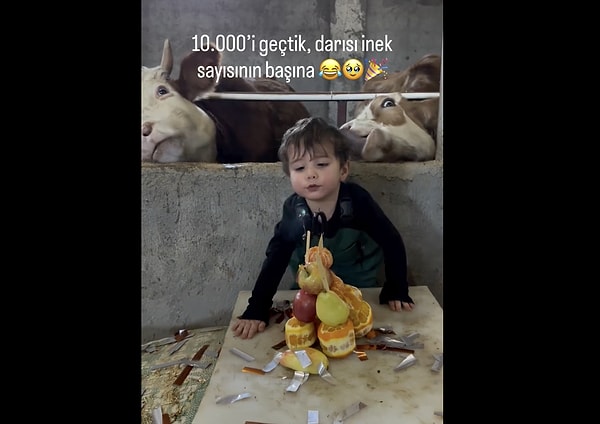 "Yemliğin içine atayım, yesinler"
