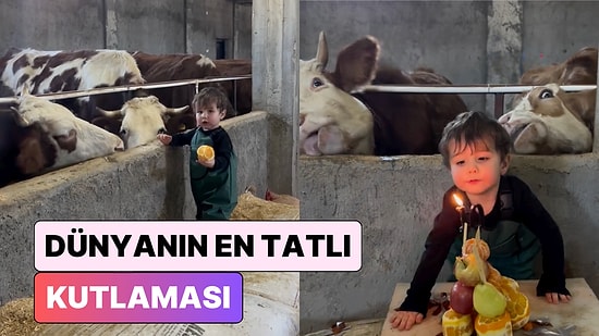Biz de Katılamıyor muyuz? Pastasını İnekleri ile Birlikte Üfeleyen Miniğin Partisine Bayılacaksınız