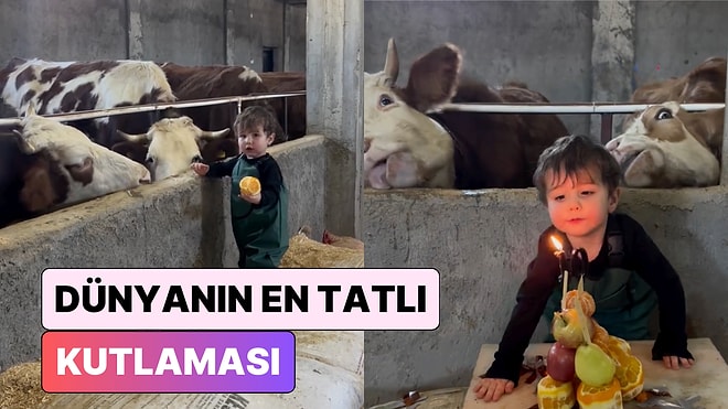 Biz de Katılamıyor muyuz? Pastasını İnekleri ile Birlikte Üfeleyen Miniğin Partisine Bayılacaksınız
