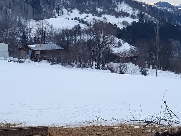 Artvin’deki Ustalar Köyü'nde, resmi kayıtlara göre sürekli ikamet eden 2 kişi bulunuyordu.