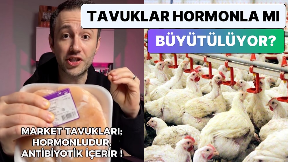 Bir İçerik Üreticisi Konuya Açıklık Getirdi: Market Tavuklarında Hormon ve Antibiyotik Var mı?