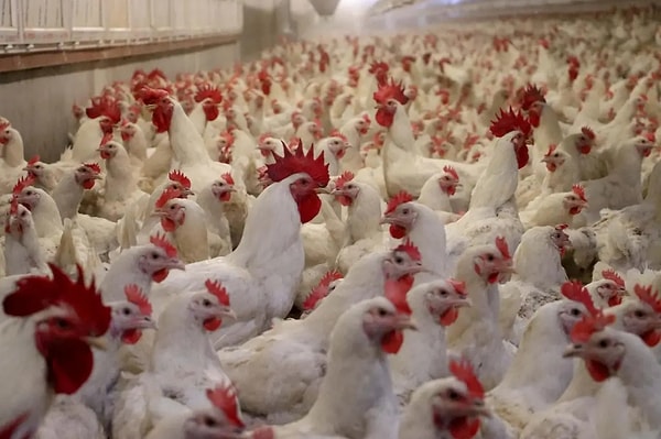 Bakanlık, Ramazan dönemi boyunca piyasayı dengelemeyi hedefliyor.