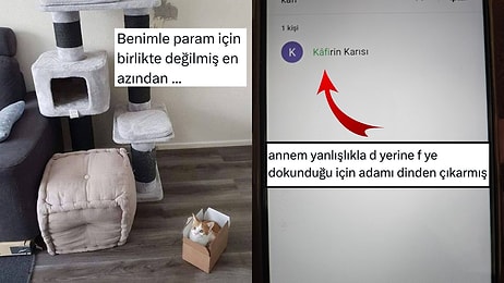 Gönlü Bol Kediden Kritik Harf Hatalarına Son 24 Saatin Viral Tweetleri