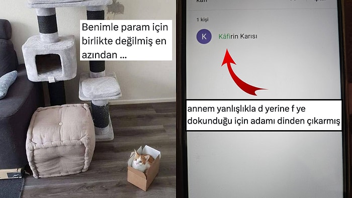 Gönlü Bol Kediden Kritik Harf Hatalarına Son 24 Saatin Viral Tweetleri