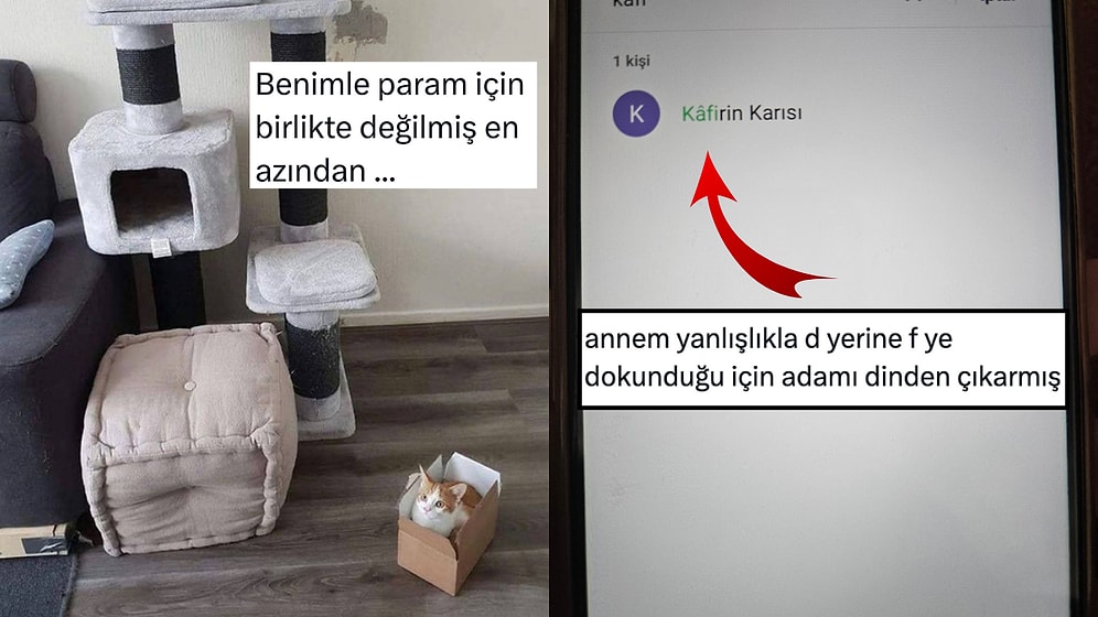 Gönlü Bol Kediden Kritik Harf Hatalarına Son 24 Saatin Viral Tweetleri