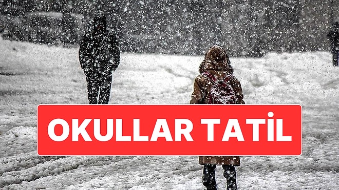 Kar Tatili Haberleri Gelmeye Başladı: 2 İlde Okullar Tatil Edildi