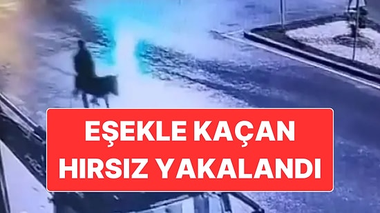 Çalıntı Forkliftle Kuyumcu Soydu, Eşeğe Binerek Kaçtı