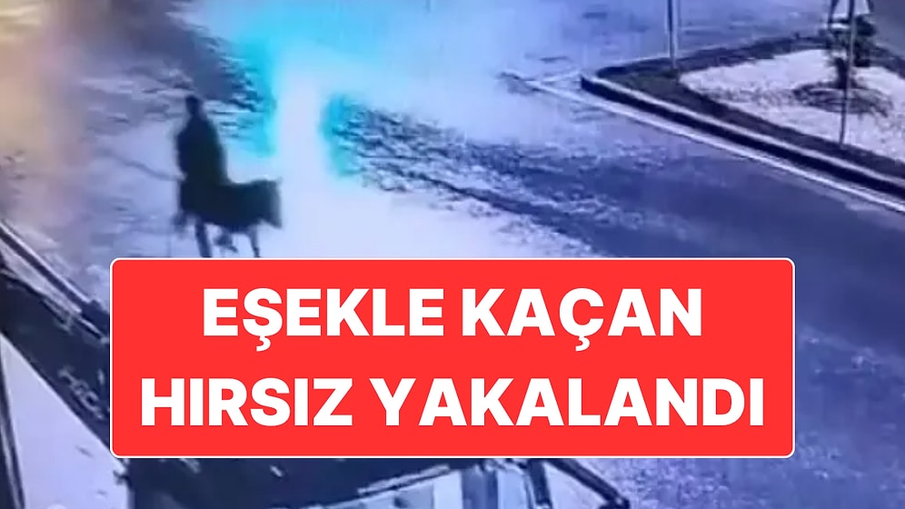 Çalıntı Forkliftle Kuyumcu Soydu, Eşeğe Binerek Kaçtı
