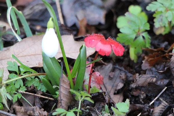 Toplumsal bir bilinçlenme çağrısı yapılıyor.