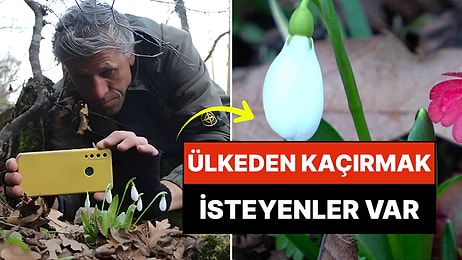 Avrupa Bu Bitkilerin Peşine Düştü: Anadolu'nun "Milli Servetini" Kaçırmak İsteyenler Var!