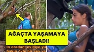 Survivor'da Gönüllülerin Barakası Yıkılınca Beyza Ağaçta Yaşama Kararı Aldı