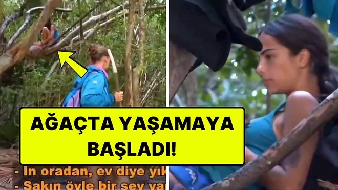 Survivor'da Gönüllülerin Barakası Yıkılınca Beyza Ağaçta Yaşama Kararı Aldı