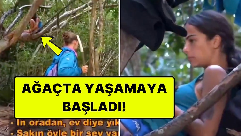 Survivor'da Gönüllülerin Barakası Yıkılınca Beyza Ağaçta Yaşama Kararı Aldı
