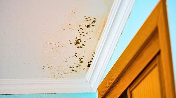 Küf ve yoğuşma neden ortaya çıkıyor?