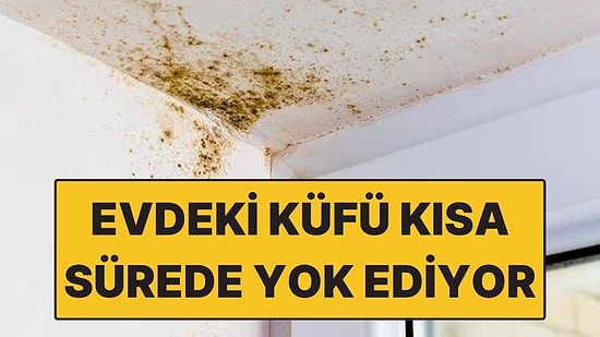 Evde Küf Sorunu Yaşayanlara Doğal Çözüm: Nemi Hemen Emiyor