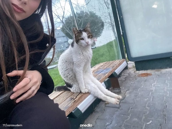 Paylaşım şöyleydi;