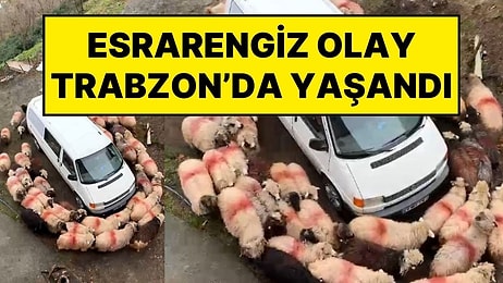 Dünyadaki Kimsenin Anlamadığı Esrarengiz Olay Trabzon’da da Yaşandı!