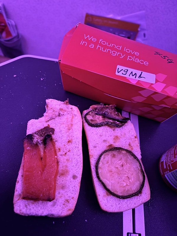 800 dolarlık (yaklaşık 34 bin TL'lik) uçuşta karşılaşılan “küflü” sandviç, yolcuyu çileden çıkardı.