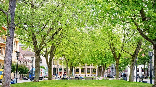 Oslo, yeşil alan erişimi ve temiz havasıyla listenin zirvesinde yer alıyor.