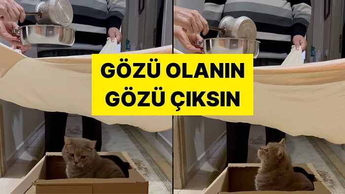 Bir Vatandaş Nazar Değen Kedisine Kurşun Döktürdüğü Anları Kayda Aldı