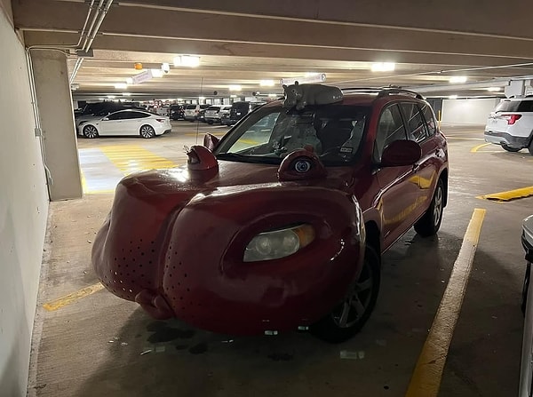 3. Psikoloğum: "Hipopotam araba gerçek değildir"