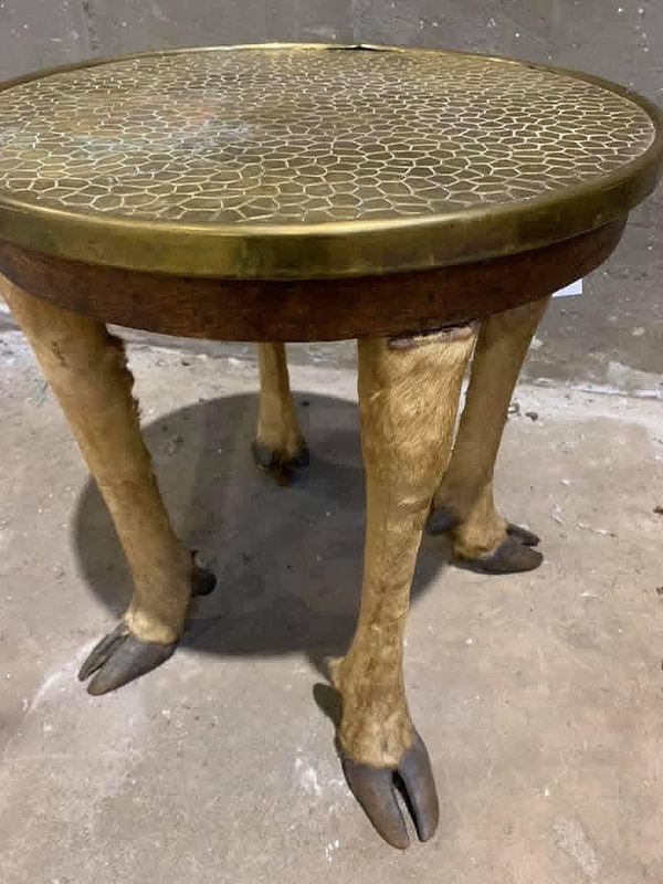 13. Doğanın güzelliği nasıl bu kadar yanlış anlaşılabilir?