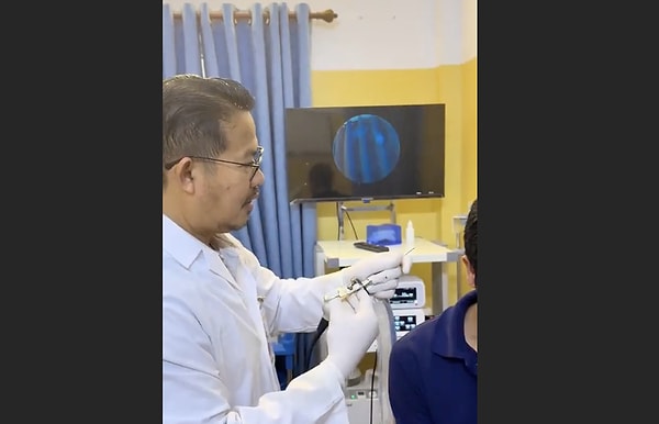 Peki böcekler kulağa neden girer?