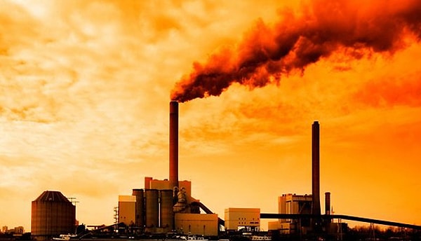 Özel eğitimden geçirilecekler.