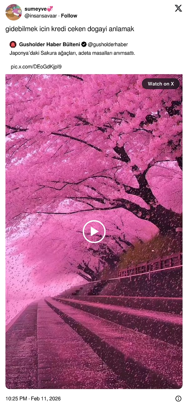 6. Kızılcık Şerbeti Doğa, haklıymışsın.