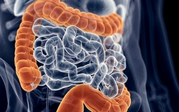 Sağlıklı yetişkinler bir günde ortalama 32 kez gaz çıkarıyor.