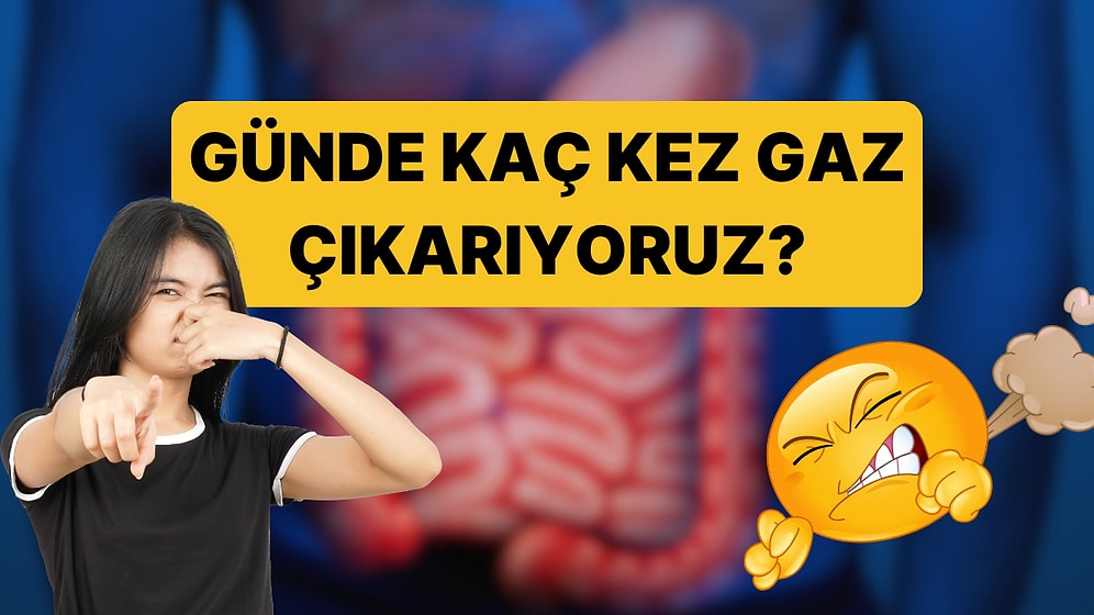 Bir Yetişkinin Günde Kaç Kez Gaz Çıkardığı Belli Oldu