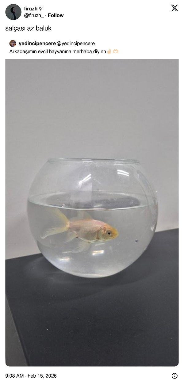 Salçasız balık göreceğimizi de düşünmezdik;