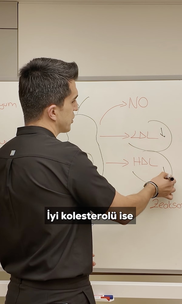 Avokado, kötü kolesterolü (LDL) düşürüyor, iyi kolesterolü (HDL) ise yükseltiyor.