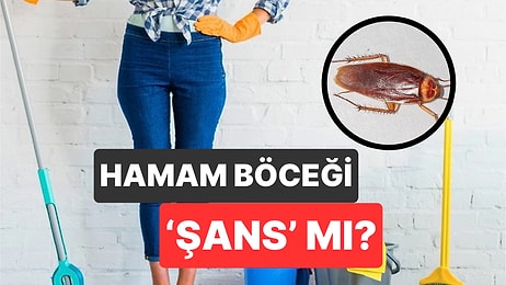 Uzmanlar Ne Diyor? Evinizde Hamam Böceği Görüyorsanız 'Şanslı' Sayılabilirsiniz