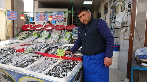 Kilis’te balıkçı tezgahları yeniden hamsi ile şenlendi.