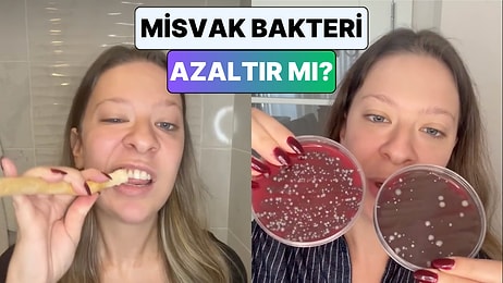 Genetik Mühendisi Dilara Sarı Bir Deneyle Misvak'ın Bakterileri Azaltıp Azaltmadığını Gözlemledi