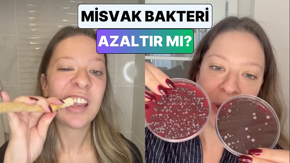 Genetik Mühendisi Dilara Sarı Bir Deneyle Misvak'ın Bakterileri Azaltıp Azaltmadığını Gözlemledi