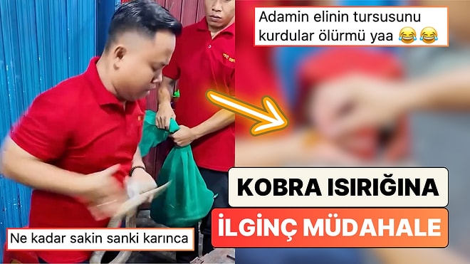 Gezgin Fatih Koparan'ın Videosunda Kobra ile Gösteri Yapan Adam Felaketin Eşiğinden Döndü