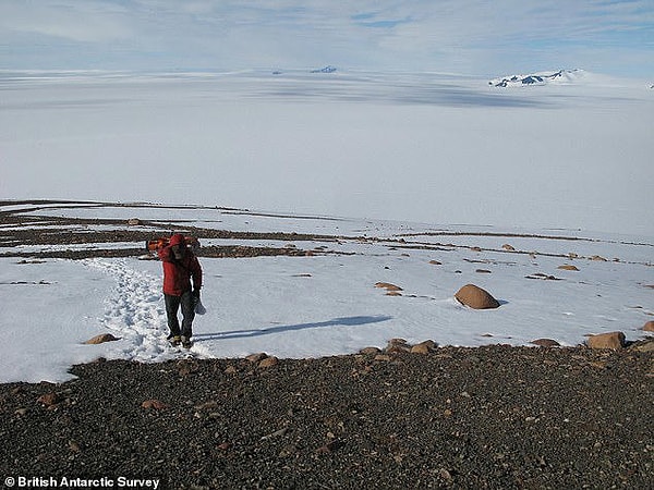 Araştırma, Pine Island Buzulu’nun geçmişte bugünkünden çok daha heybetli ve güçlü olduğunu gösteriyor.