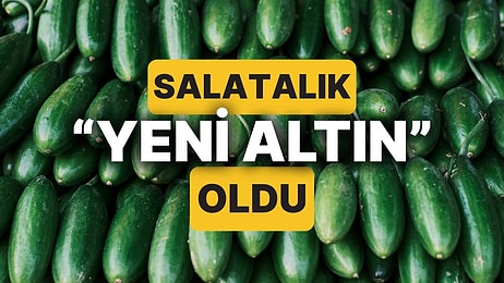 Salatalık Bir Ülkede "Yeni Altın" Olarak Anılmaya Başladı!