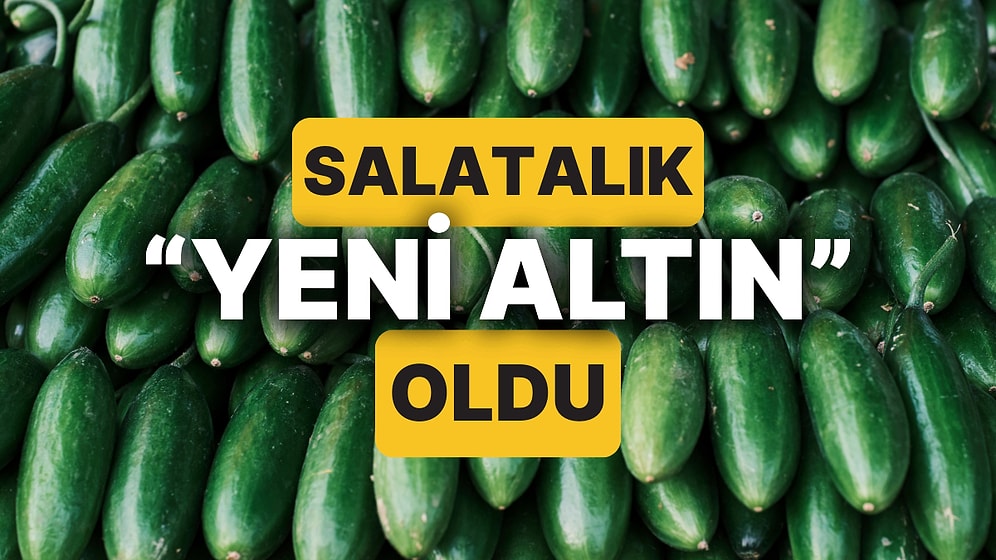 Salatalık Bir Ülkede "Yeni Altın" Olarak Anılmaya Başladı!