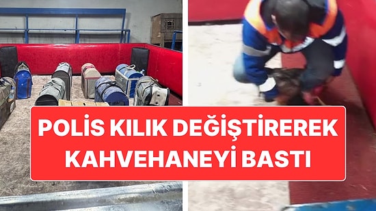 Savunma "Pes" Dedirtti: Polis Kılık Değiştirerek Horoz Dövüşünü Bastı