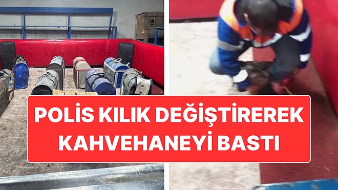 Savunma "Pes" Dedirtti: Polis Kılık Değiştirerek Horoz Dövüşünü Bastı
