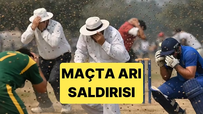 Hindistan'da Oynanan Bir Kriket Maçına Arılar Saldırdı