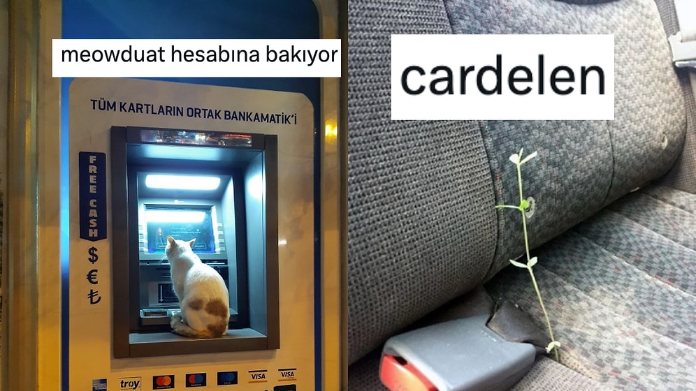 Türkçenin Esnekliğini Mizaha Dönüştürerek Güldüren Twitter Kullanıcıları