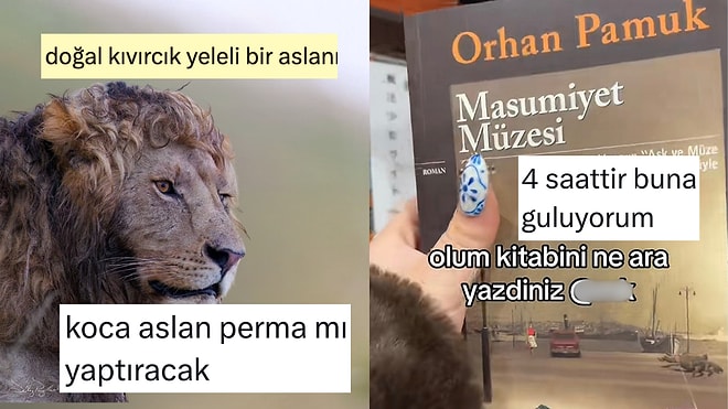Her Ne Yapıyorsanız Bırakıp Okumanız Gereken Haftanın En Komik Tweetleri