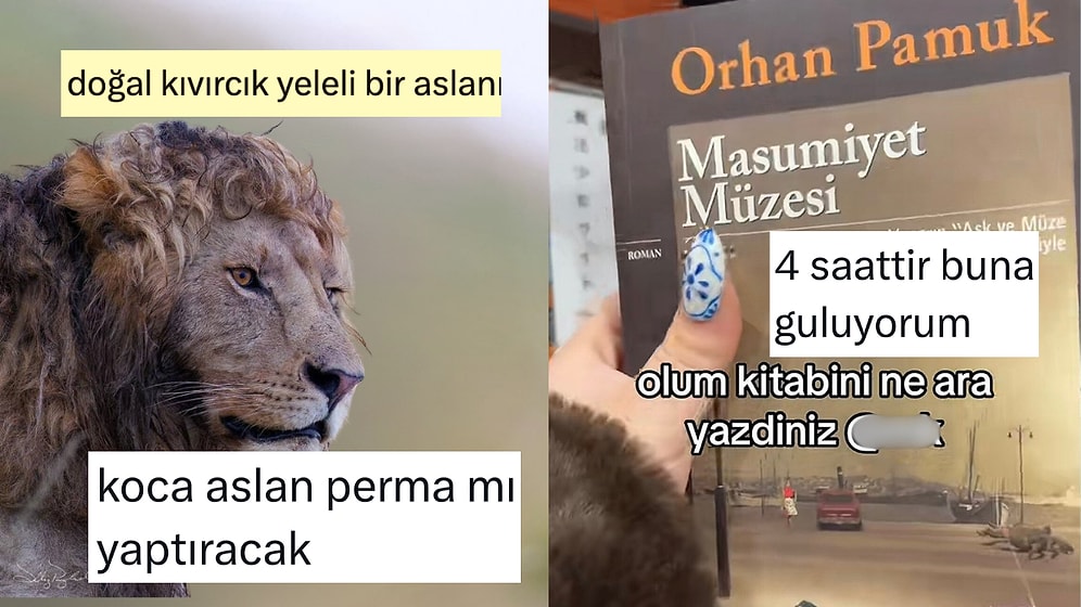 Her Ne Yapıyorsanız Bırakıp Okumanız Gereken Haftanın En Komik Tweetleri