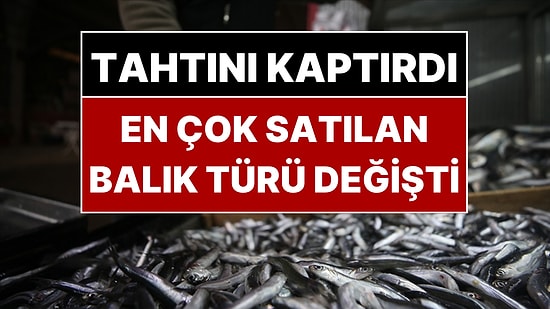 Hamsinin Pabucu Dama Atıldı! En Çok Satılan Balık Değişti